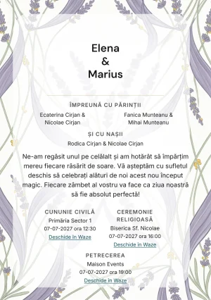 Designul Lavandă în Linii, în colecția de invitații nuntă, combină benzi grafice de lavandă cu o cromatică de mov lavandă cenușiu, verde tulpină pal și alb in.