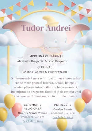 Compoziția Zborul lui Dumbo, pentru o invitație de botez, pune accent pe Dumbo zburând printre nori și arcade de circ și include steluțe, stegulețe și baloane cu aer.